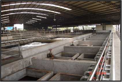 深度生物处理技术（专利技术）