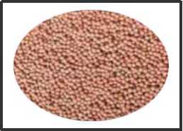 生物载体（发明专利产品）