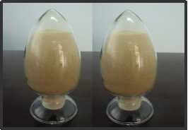 IBC固定化生物催化剂（高新技术产品）